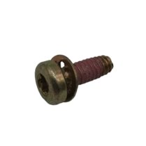 Paslode 900596 Sems Screw Torx