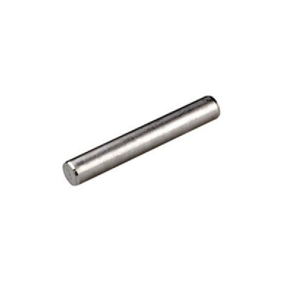 Pasloed 916234 Dowel Pin - Nose